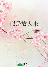 似是故人来